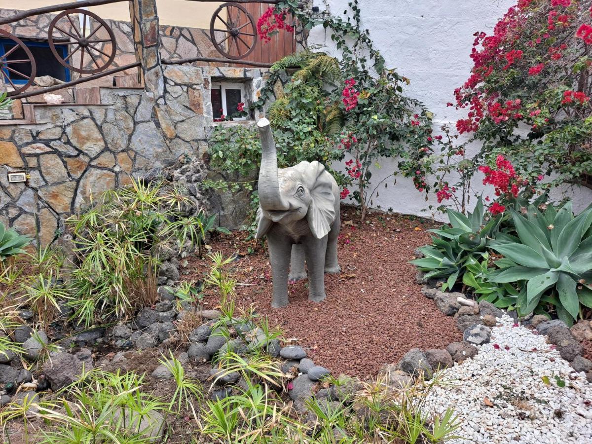 Casa De Don Quijote Appartement Icod De Los Vinos Buitenkant foto